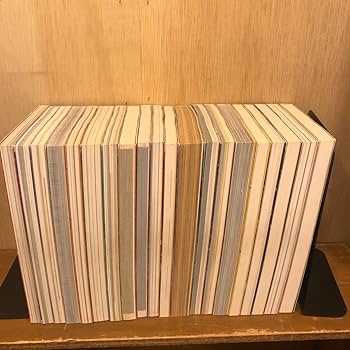 荒木経惟写真全集20巻 荒木経惟写真全集 全20巻+限定版写真集揃(荒木経惟 / Nobuyoshi